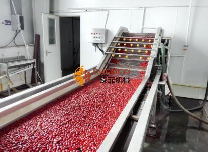 <b>棗/山楂類(lèi)水果加工生產(chǎn)線(xiàn)</b>