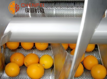 <b>柑橘類(lèi)水果加工生產(chǎn)線(xiàn)</b>
