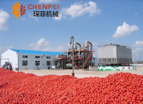 <b>番茄/胡蘿卜/枸杞/沙棘類(lèi)蔬菜加工生產(chǎn)線(xiàn)</b>