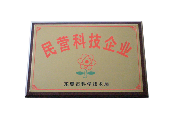 民營(yíng)科技企業(yè)